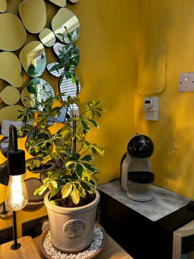Potted plant next to a lamp and decorative mirrors on a bright yellow wall.