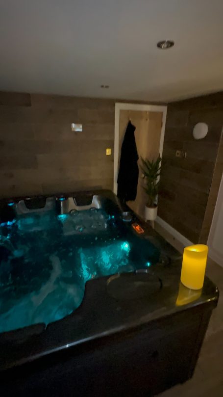 Indoor spa area featuring a hot tub, dim lighting, and a potted plant.