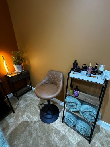 A cosy treatment space with a brown chair, shelves, towels, and a potted plant.