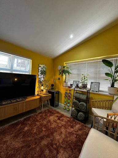 Bright yellow living room with plants, a TV, and a cozy rug.