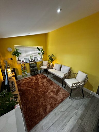 A cozy living room with yellow walls, a plush rug, two chairs, and indoor plants.