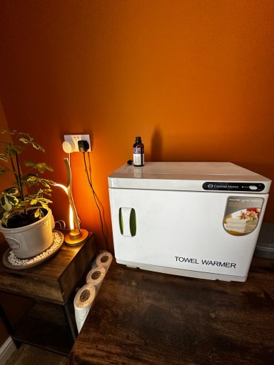 A small white appliance beside a potted plant and a lamp against an orange wall.