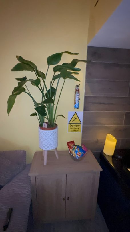 A potted plant on a wooden cabinet, beside a warning sign and a small decorative item.